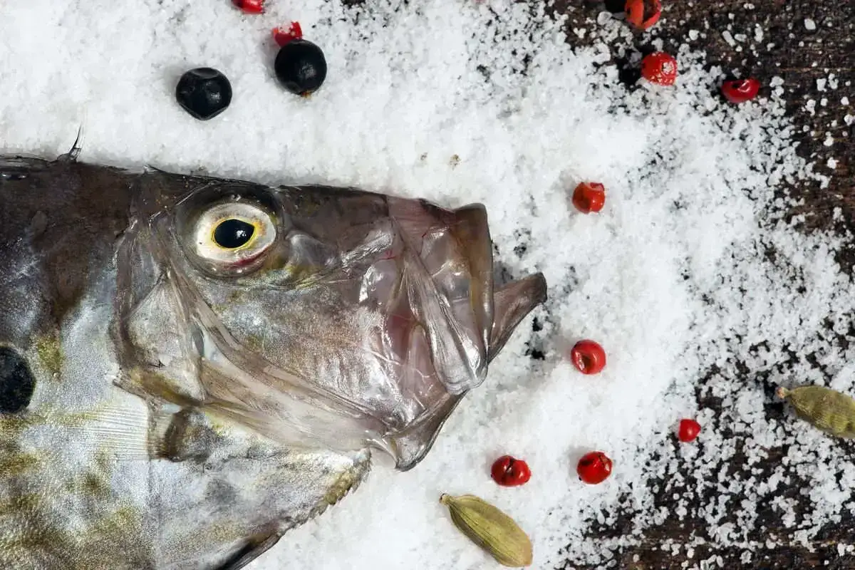 Testa di pesce San Pietro adagiata su sale grosso, circondata da grani di pepe nero, rosa e cardamomo.